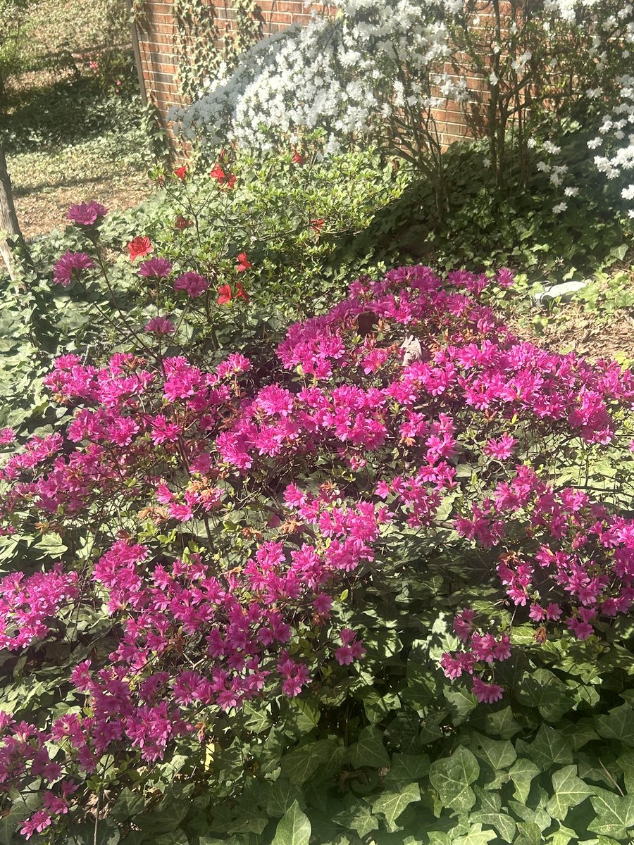 David Ries tweet media