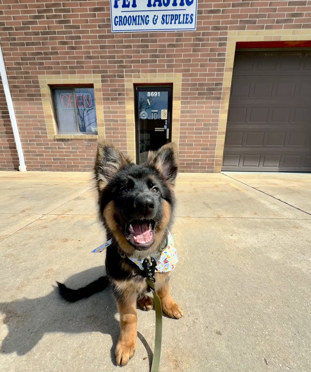 Just Jen ℞ 🫡🇺🇸 tweet media