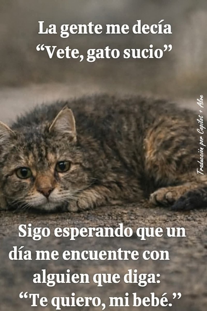 Manu Saenz💛💛 tweet media