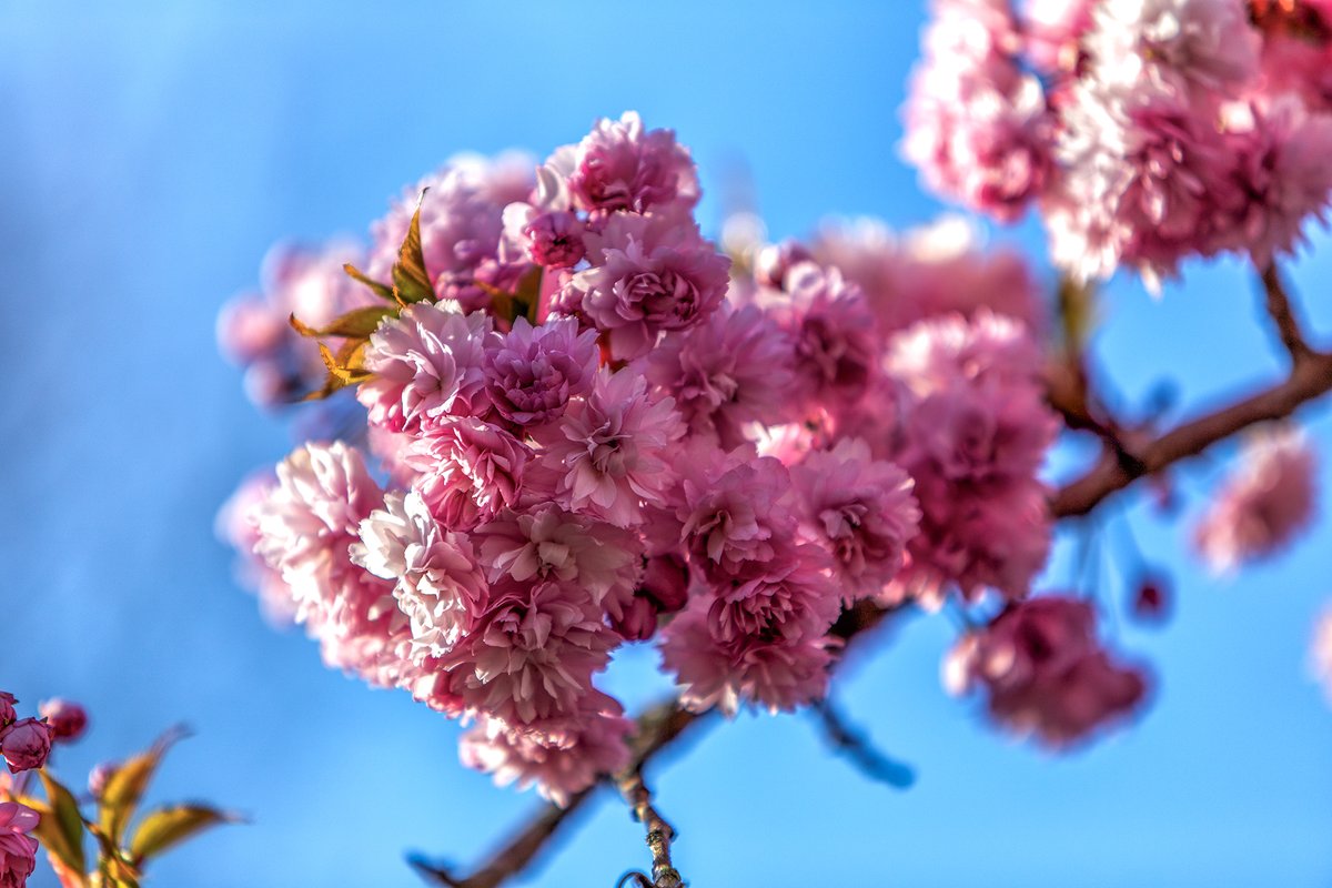 Ian Wright tweet media