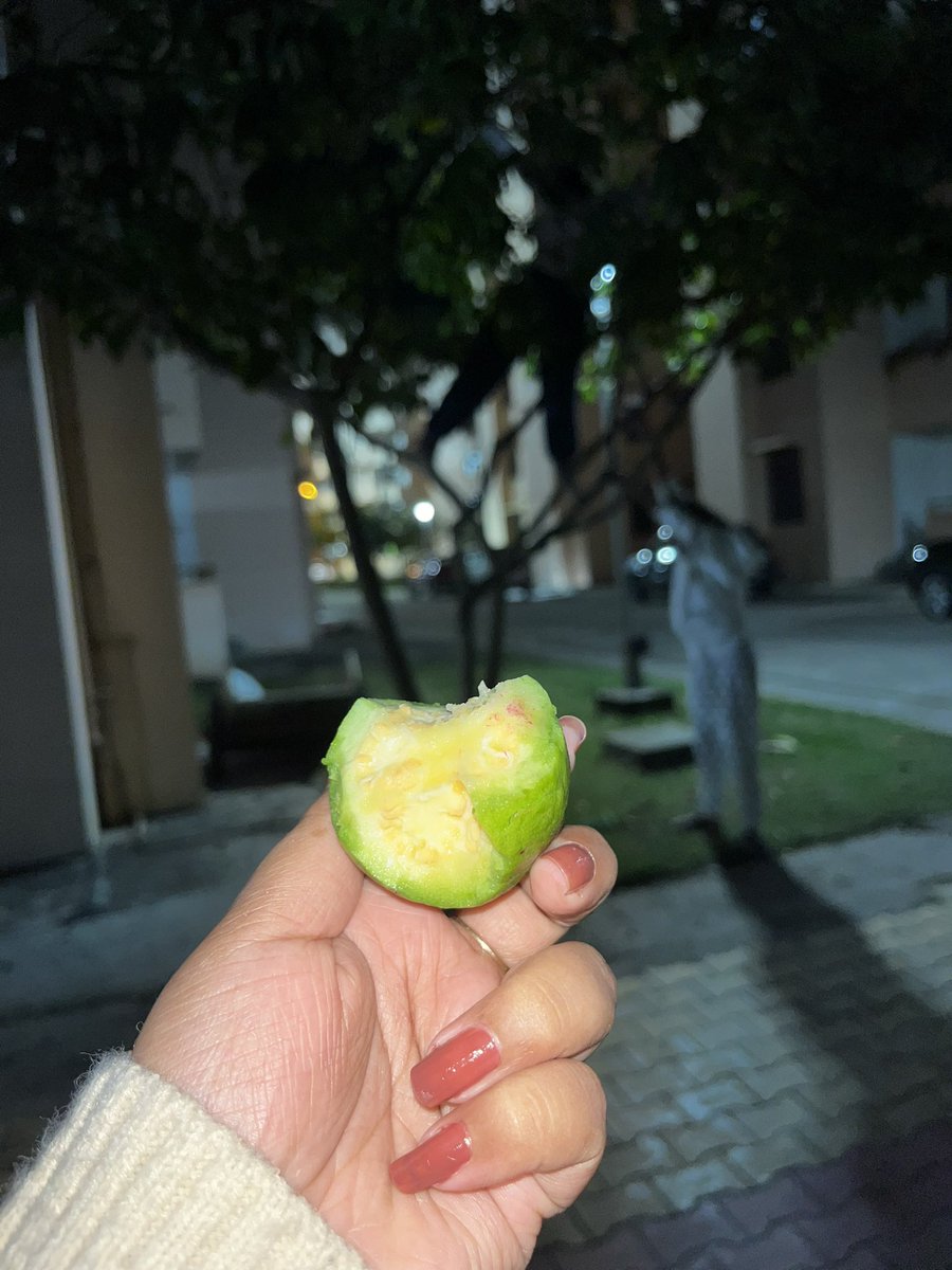 Potato!🚩 tweet media