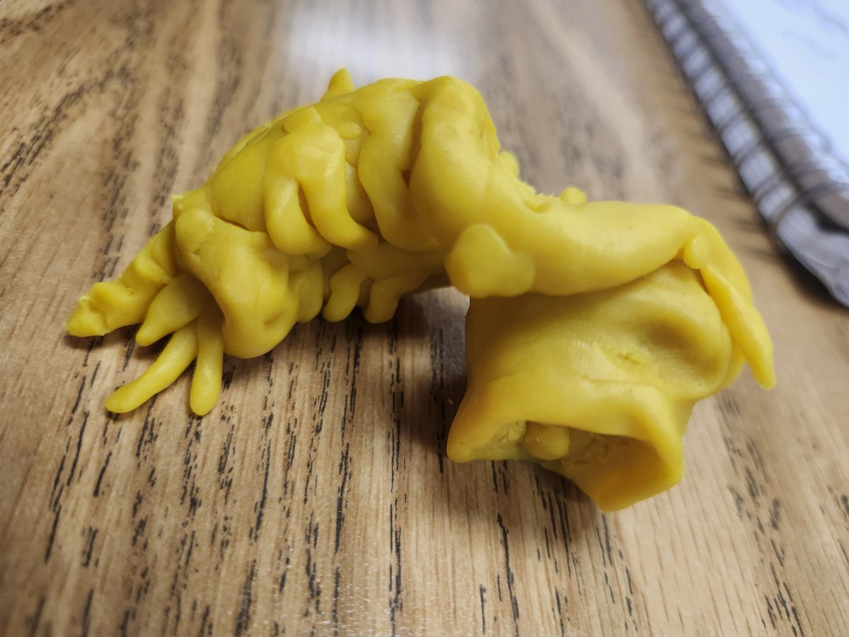 spungus² tweet media