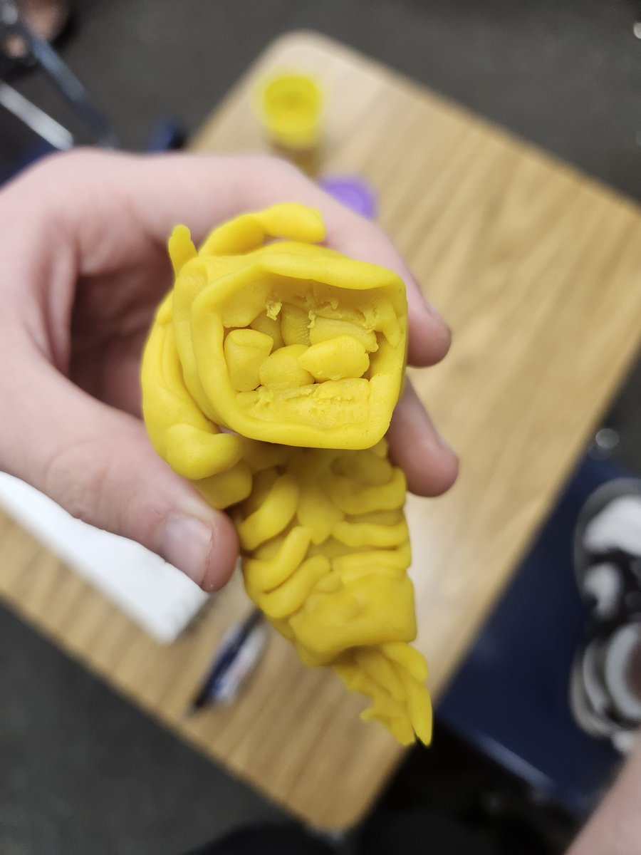 spungus² tweet media