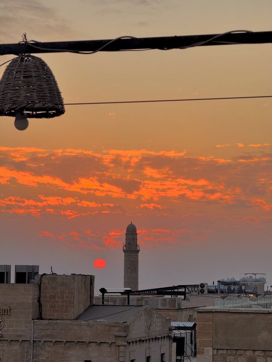 Doktorus tweet media