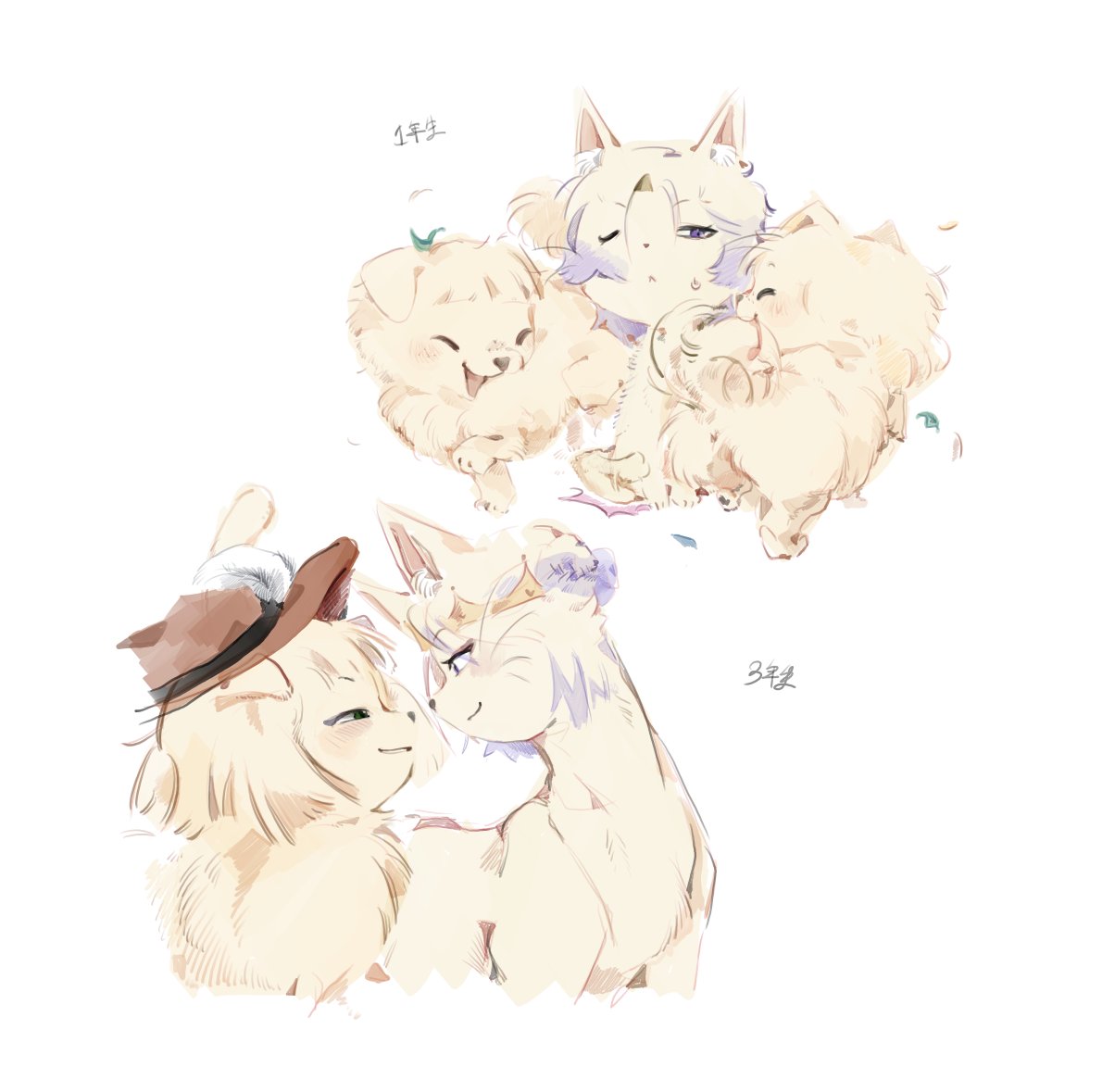 (메인트) pe nel tweet media