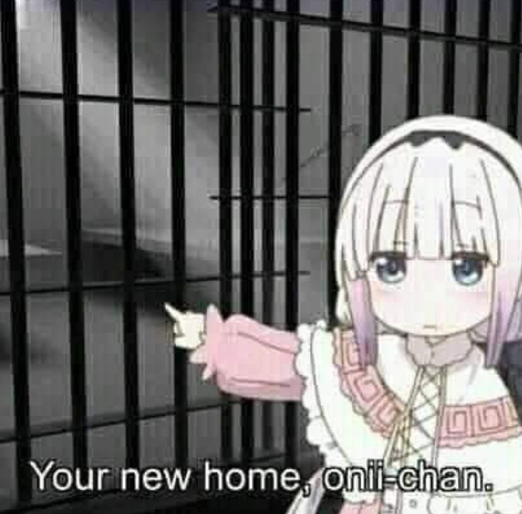 CABRITSUKI カブリツキ 🐐🆘️♠️ tweet media