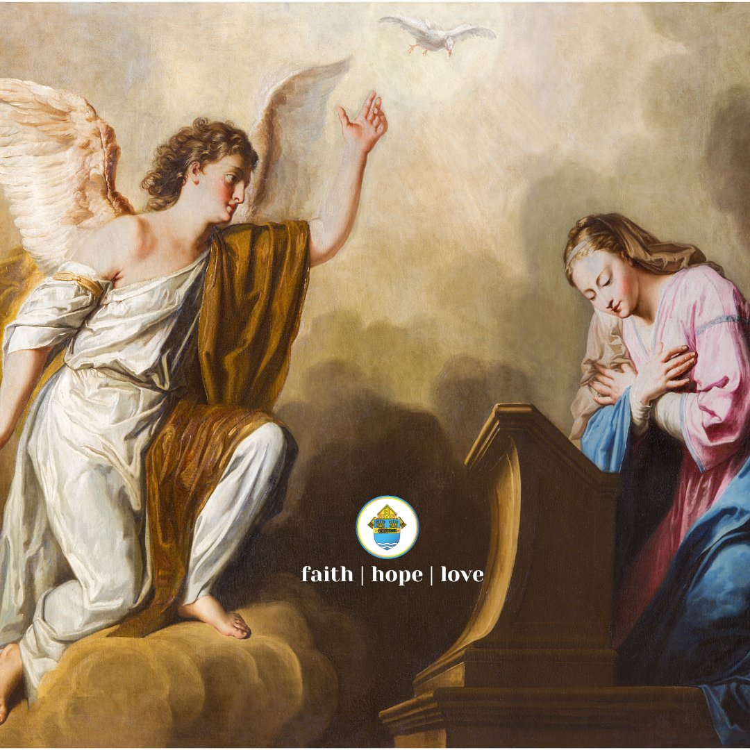 Diocese of Palm Beach tweet media