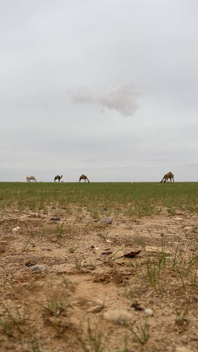 عبدالله العنزي👷🏻♂️ tweet media