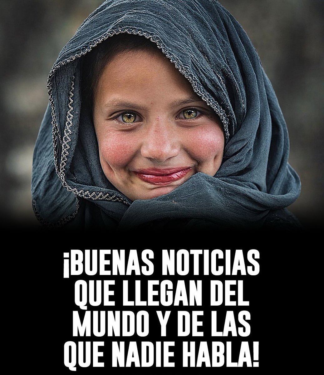 Mundologika's tweet photo. ¡Buenas noticias que llegan del mundo y de las que nadie habla!

HILO🧵🌍 https://t.co/aufR5IpVSw