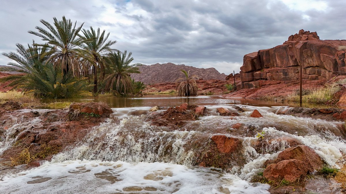 #حائل جمال رباني يخطف القلوب 🏞️♥️"

#حائل_الآن
#عبدالله_المنيع 🇸🇦📸