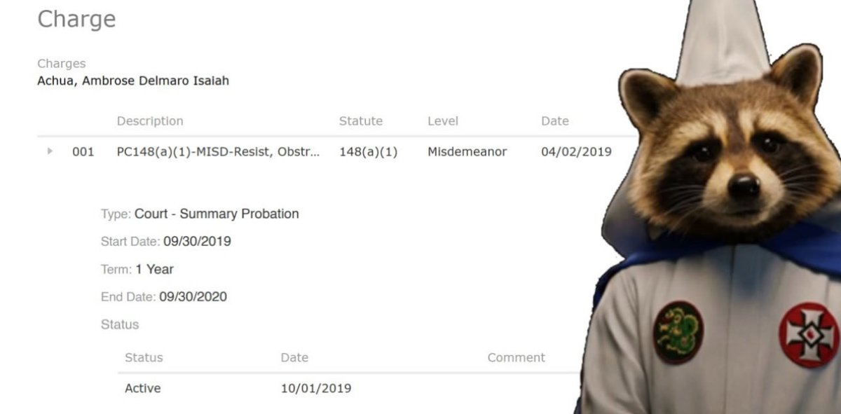 NiniChronicles tweet media