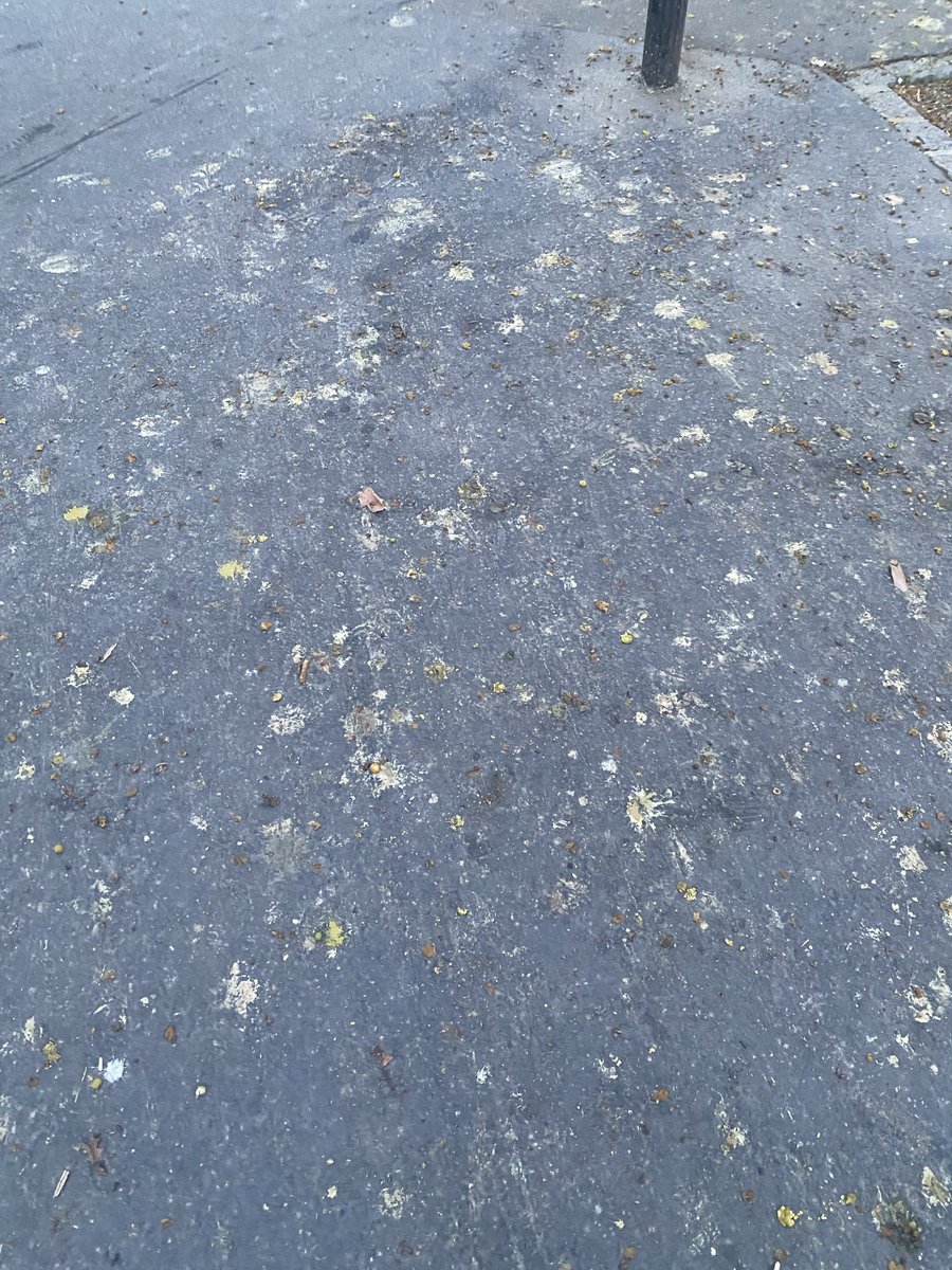 (-_-)zzz tweet media