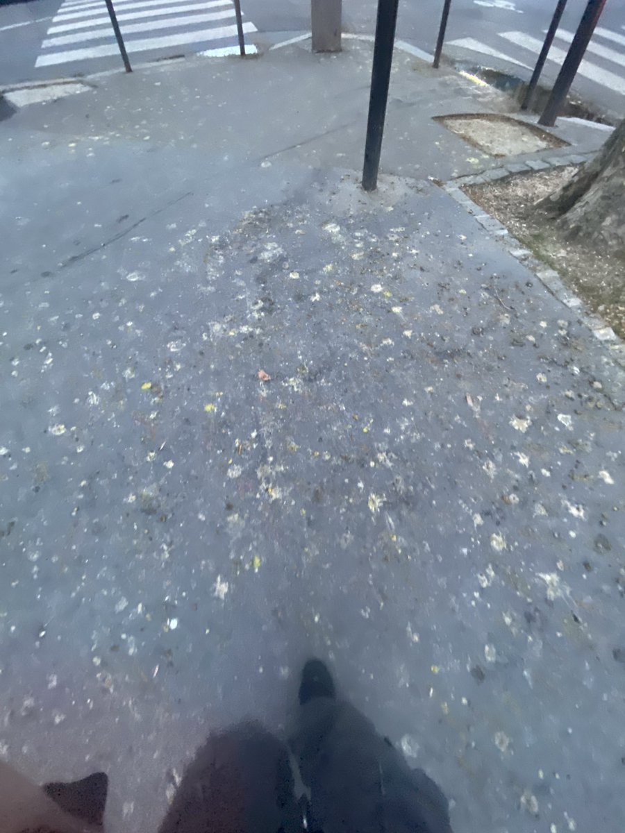 (-_-)zzz tweet media