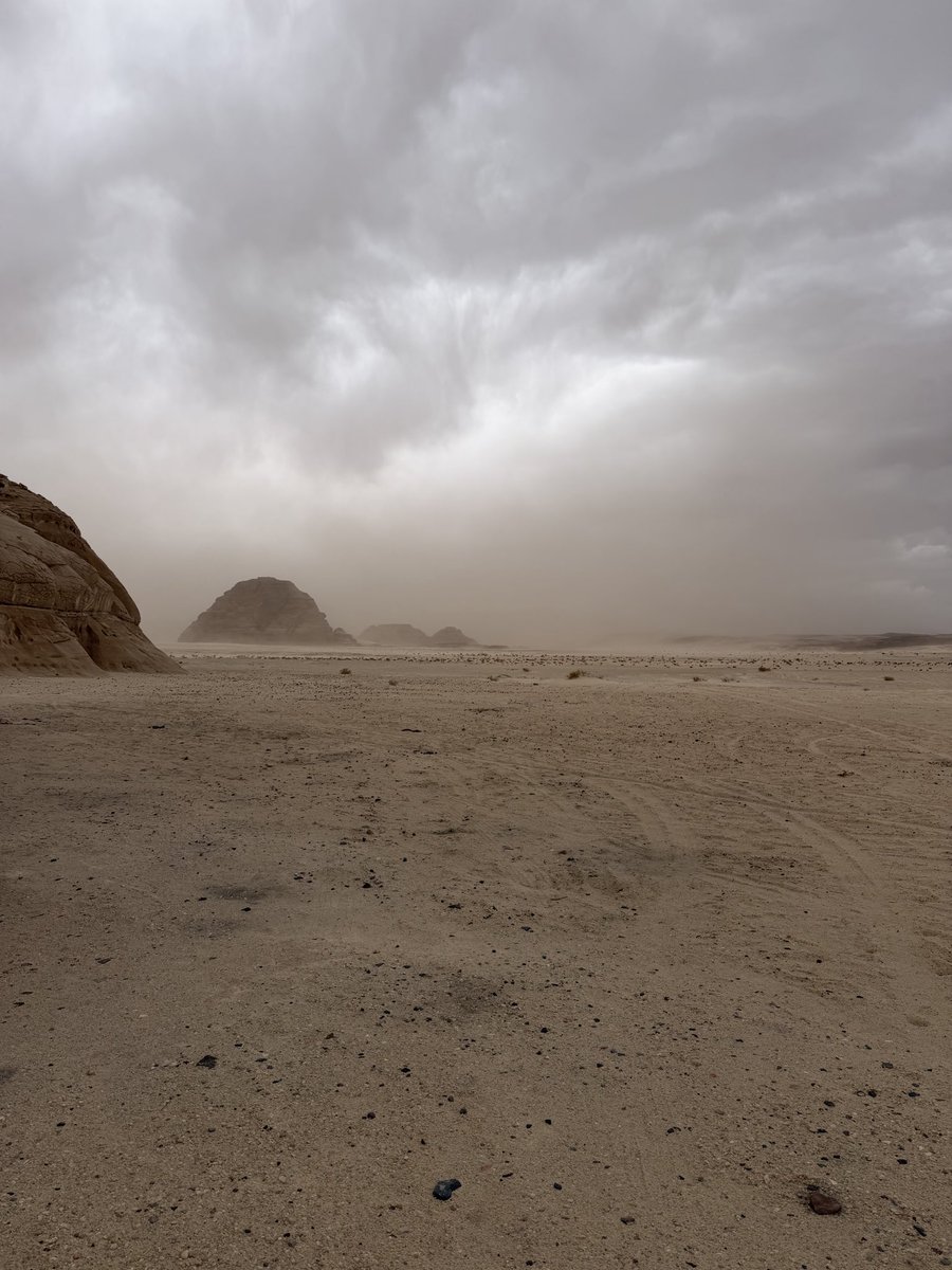 ArtifactFNDN's tweet photo. The Artifact Foundation has been busy searching for pre-dynastic artifacts in the Sinai Peninsula.  Many of these sites were excavated many years ago, if at all. 
The site is an oasis and we are on the road connecting Saint Catherine’s from the oasis.  A road walked on for tens of thousands of years.  Perhaps 100,000’s