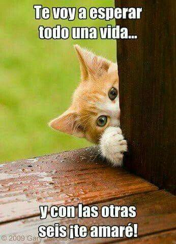 yosuba (@coolfunnnn) on Twitter photo 