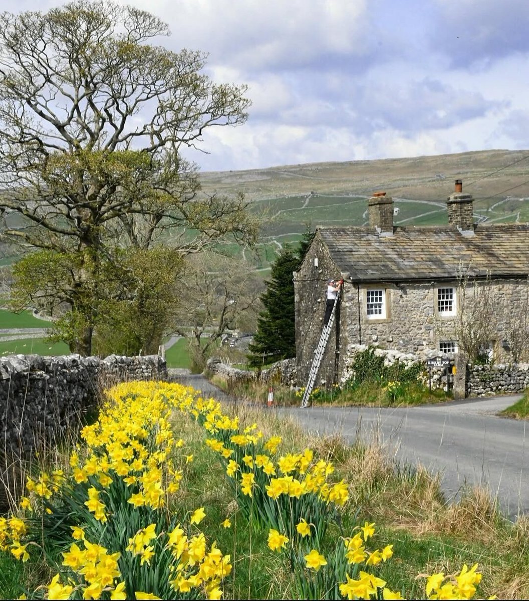 North Yorkshire tweet media