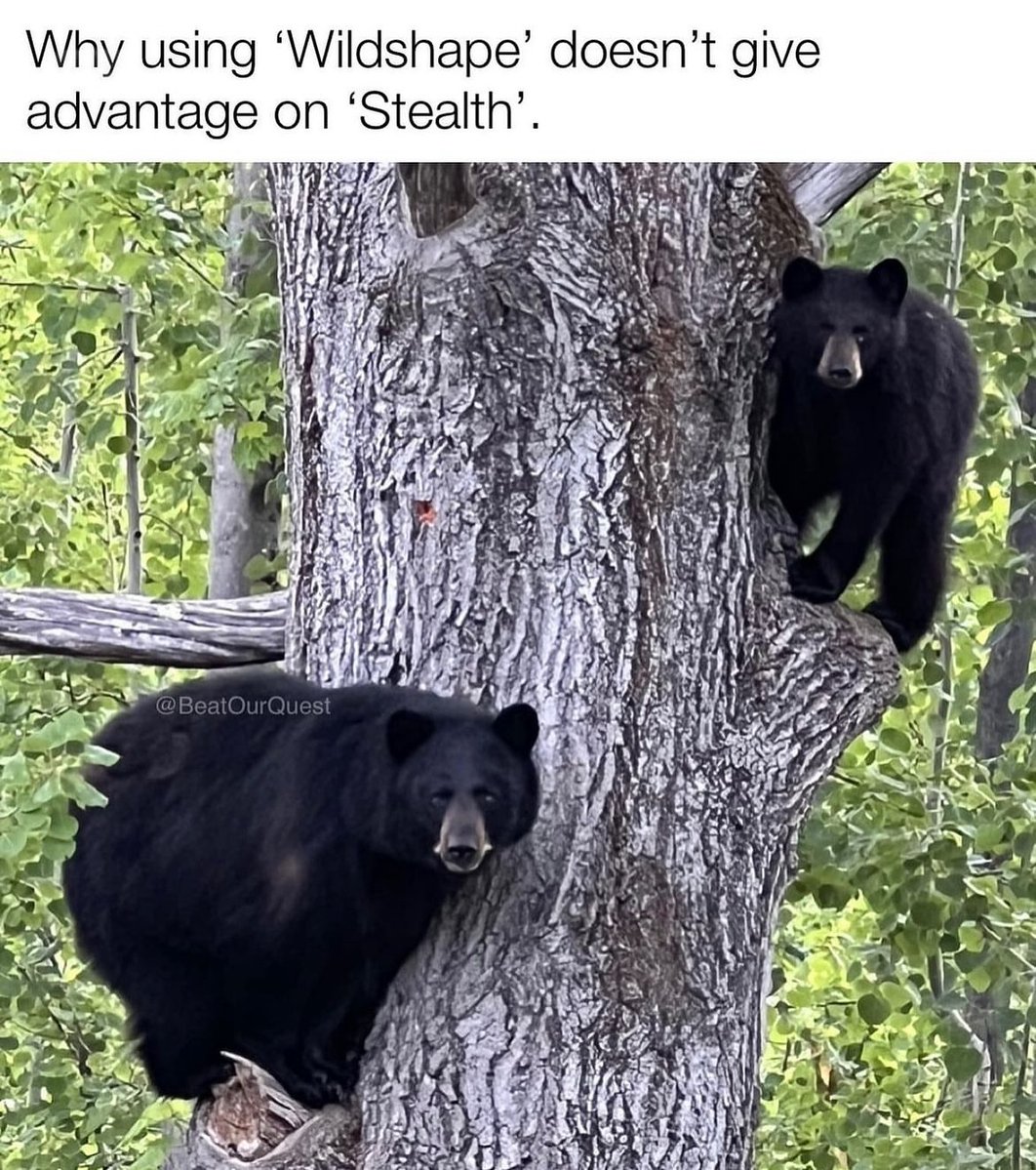 memeslich 💀 dnd memes tweet media