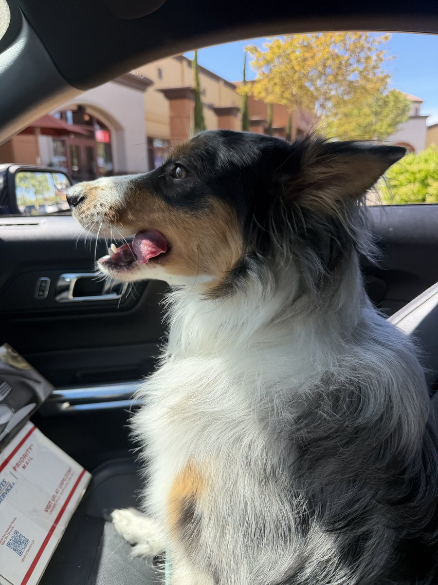 Parker 🐐 tweet media