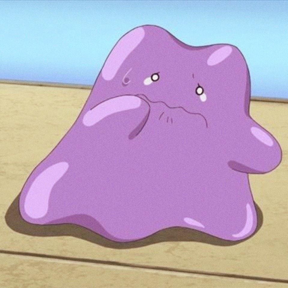 ket ᥫ᭡ tweet media