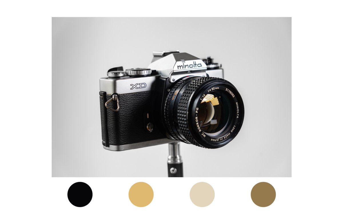 stephanie tweet media