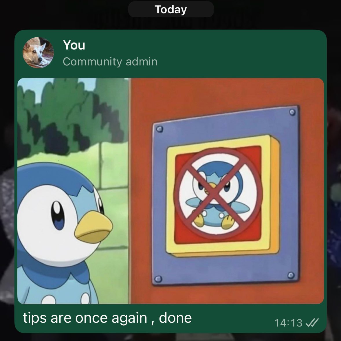 anya⁷💫 tweet media