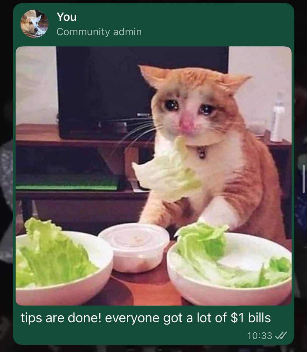 anya⁷💫 tweet media