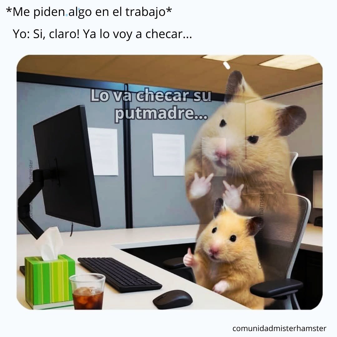 MadreSemestrosa's tweet photo. 😂 https://t.co/Ecei7CYA4s