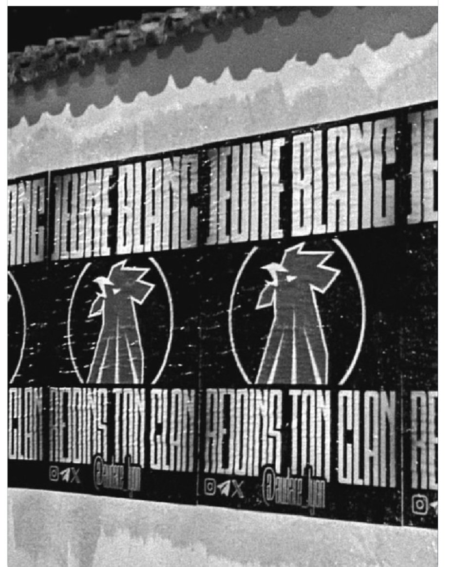 La Garde Antifasciste 53 tweet media