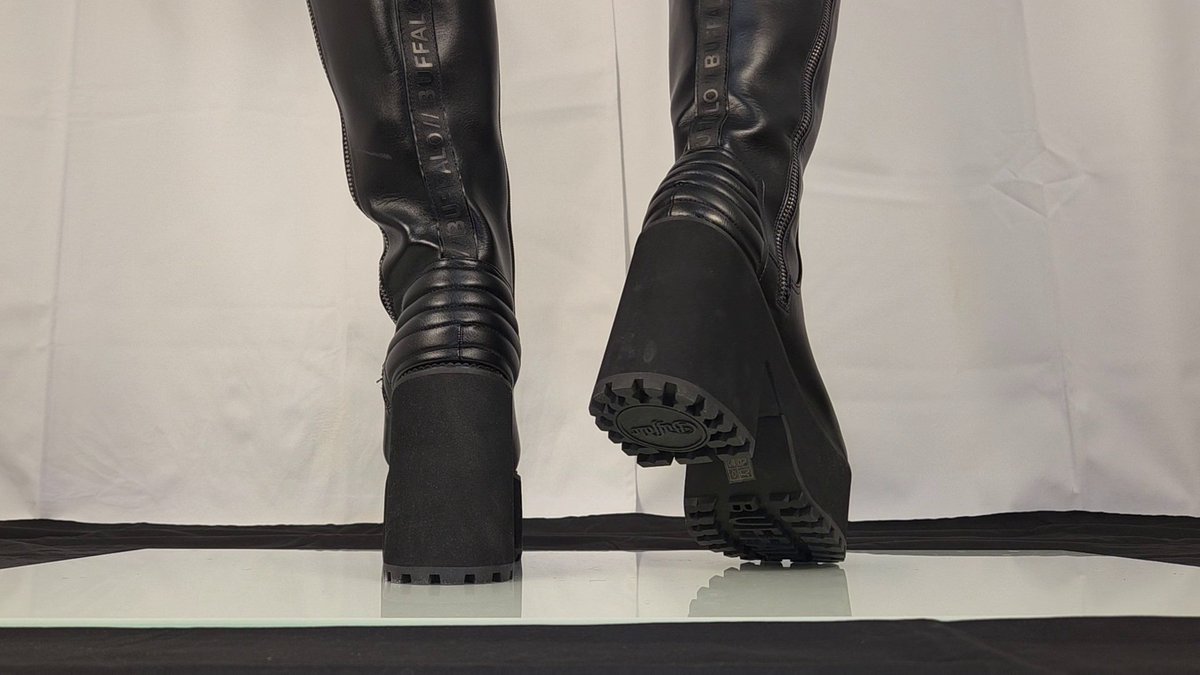 GTS Johanna-Louise von Zerquetsch tweet media