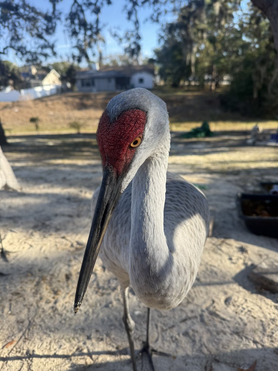 🇺🇸 Dave 🇺🇸 tweet media