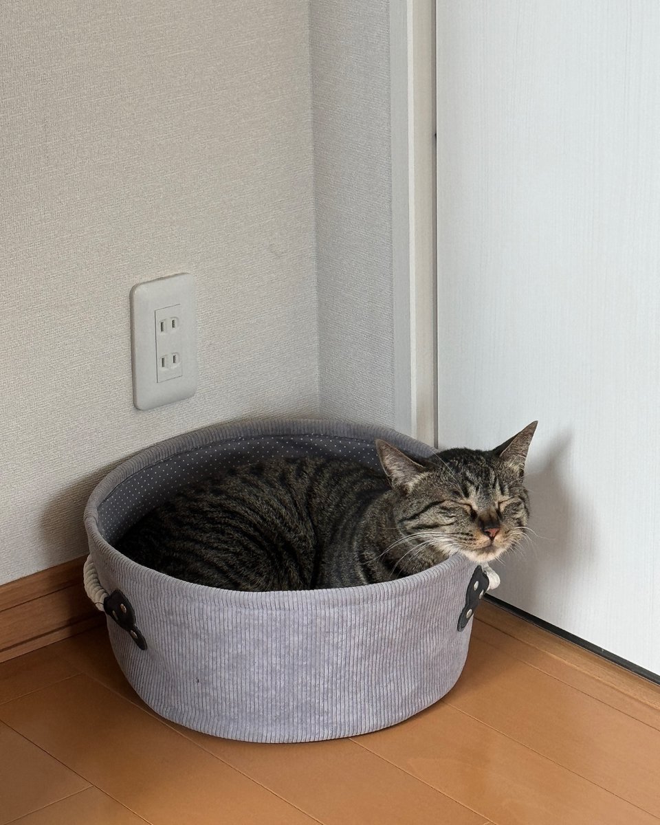 Samuel Wilson tweet media