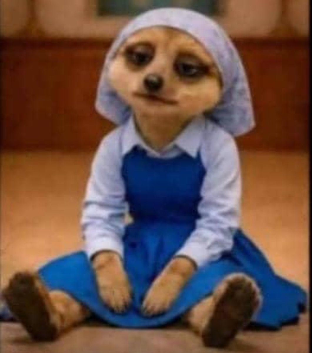 Obianuju🌻 tweet media