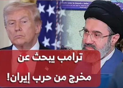 amara hamami tweet media