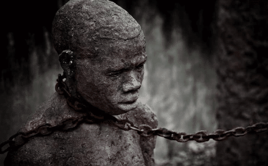 SIRÈNES tweet media