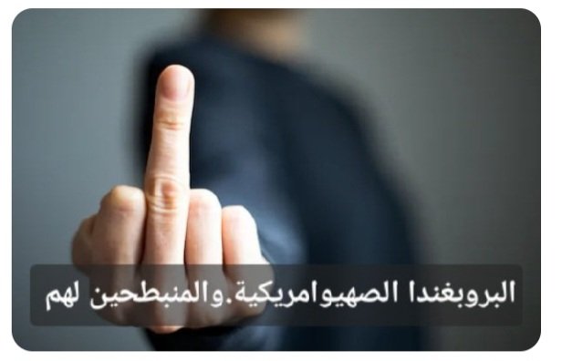 amara hamami tweet media