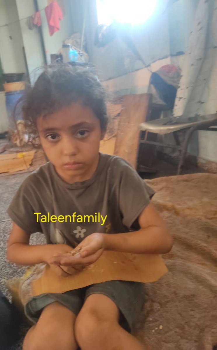 Taleen Family 🍉 tweet media