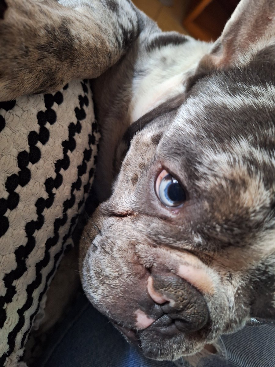 h͟ᜊᜊn || ENHYPEN IS 7!! tweet media