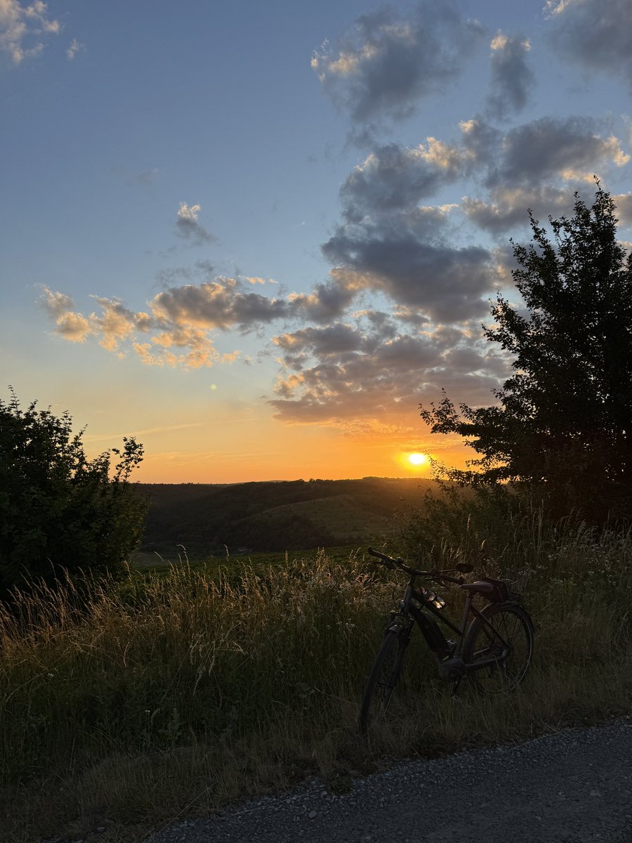 маруся tweet media