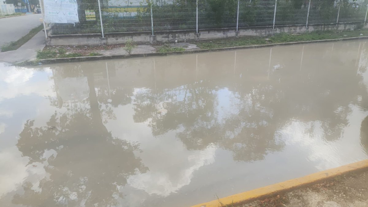 Denuncia Ciudadana tweet media