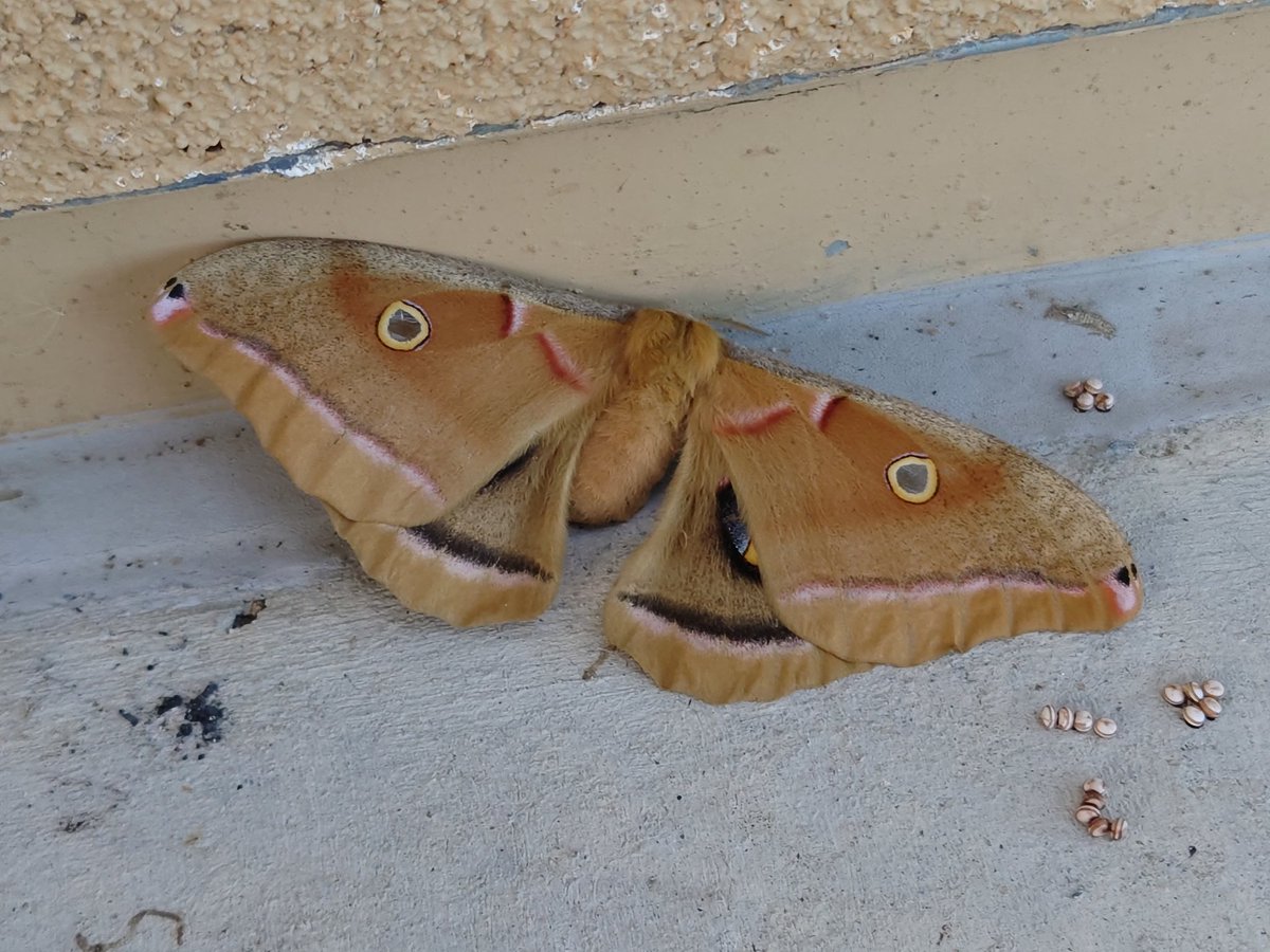 Toad 🚬 tweet media