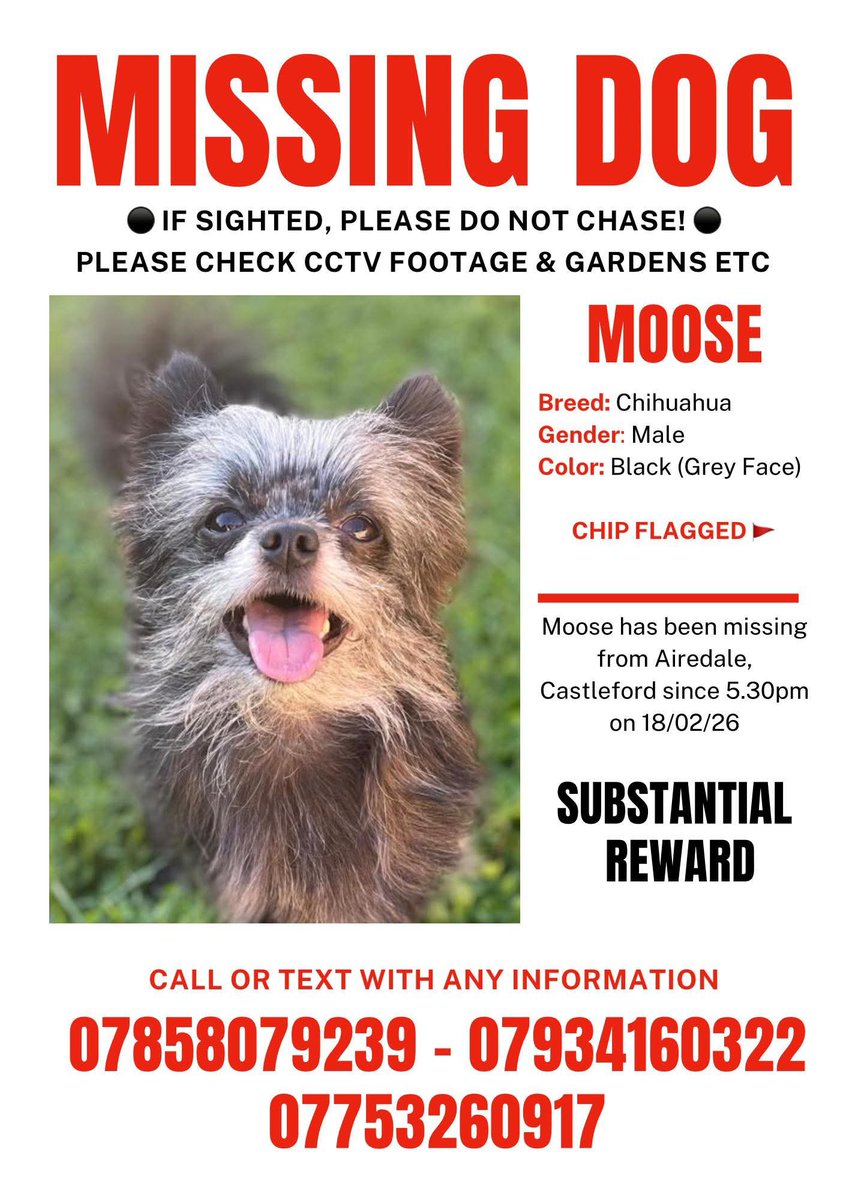 MakeChipsCount to Reunite Pets tweet media