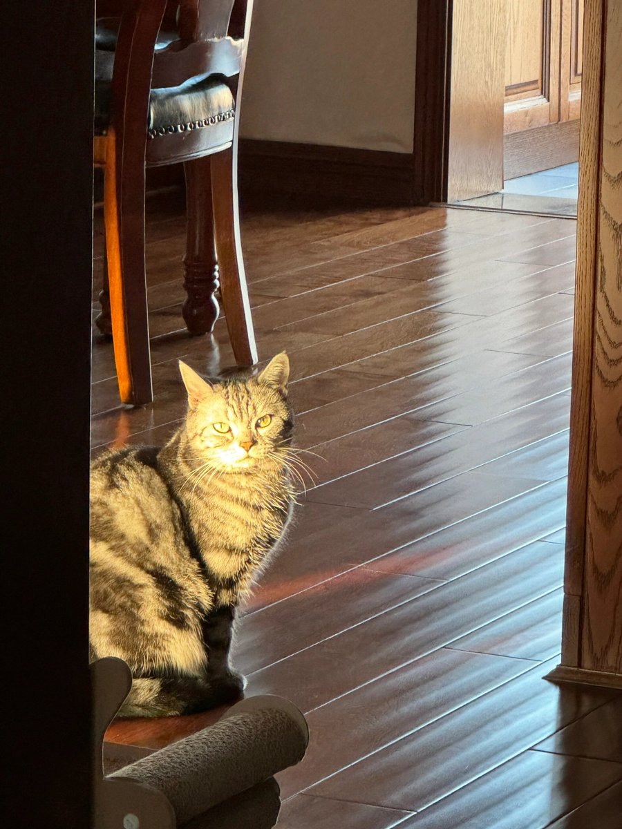 curt mackenzie tweet media