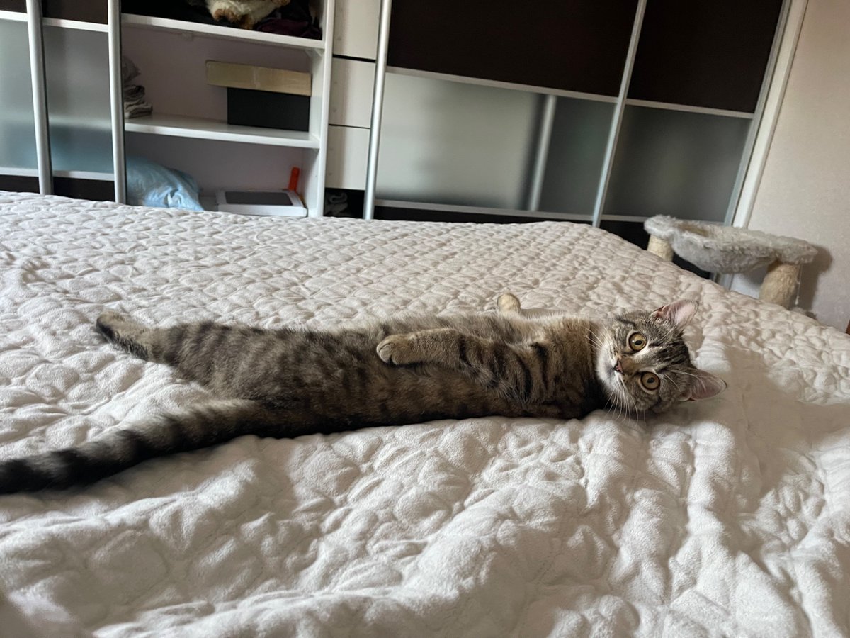 лівінгстон tweet media