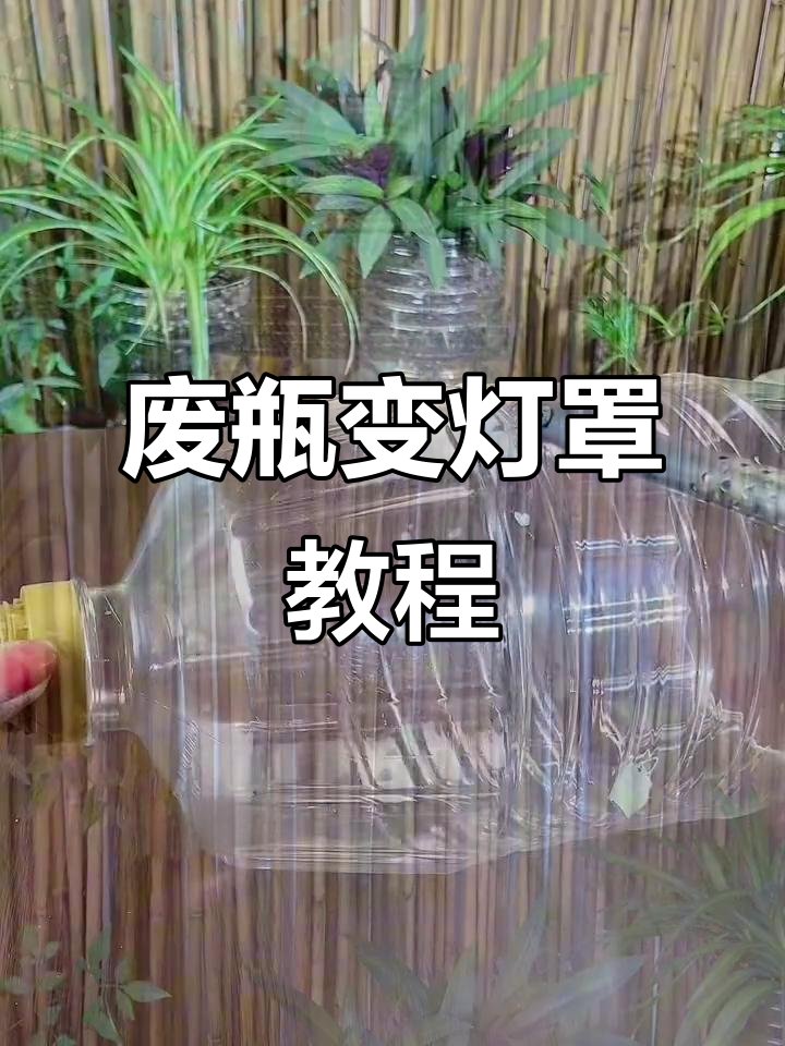 Moreno Sedução tweet media