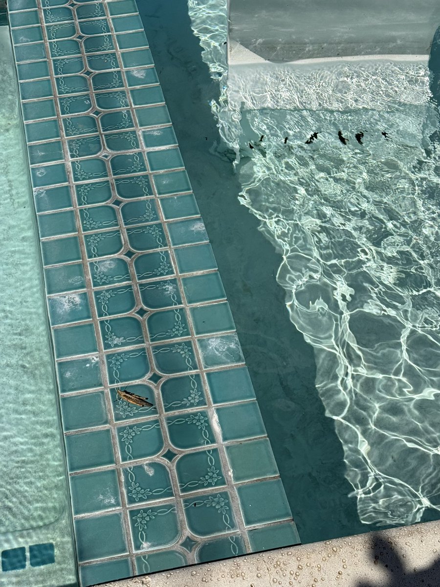 ❤️‍🔥pop tart💋 tweet media