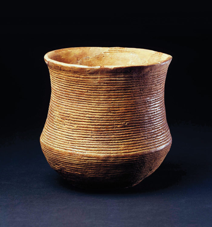 Dan Davis tweet media