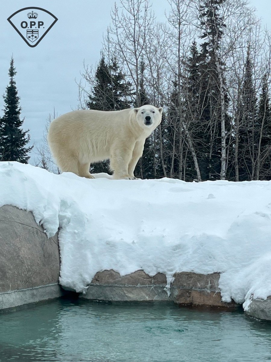 OPP North East Region tweet media