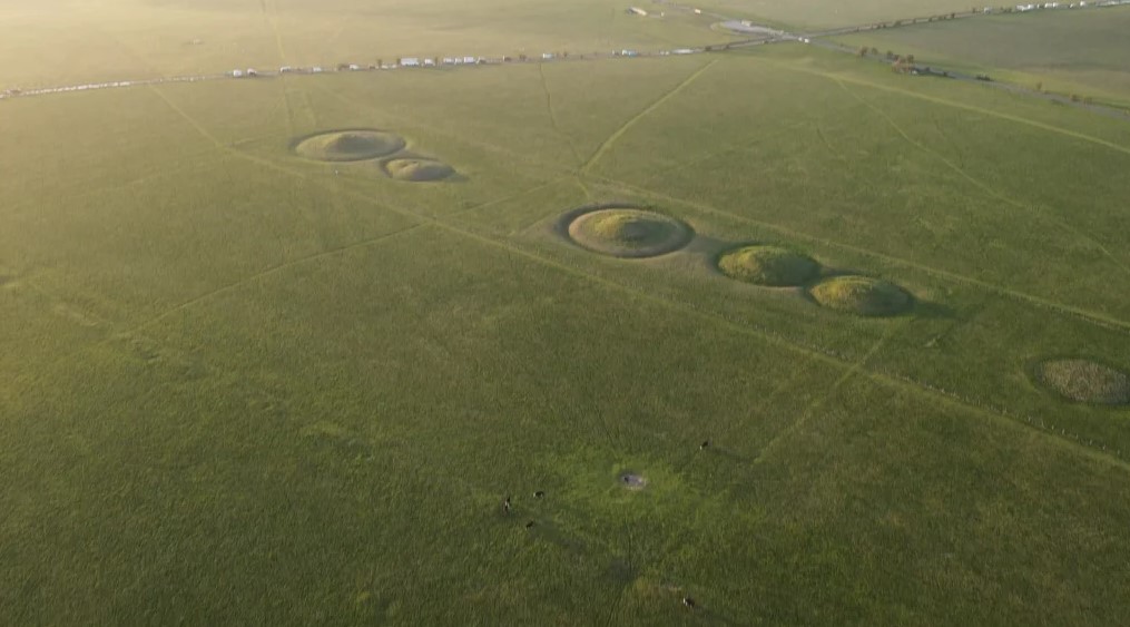 Dan Davis tweet media