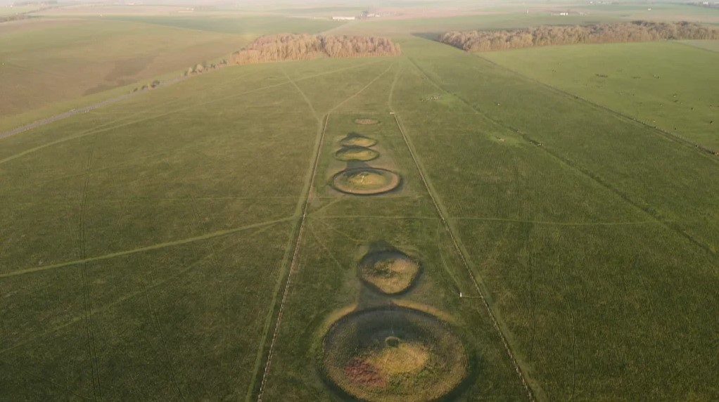 Dan Davis tweet media