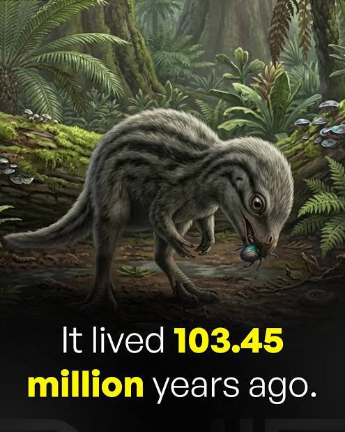 Dooly-saurus tweet media